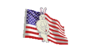 4th of july summer Sticker by BuzzFeed Animation