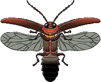 firefly STICKER