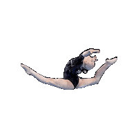 Fgi Sticker by Federazione Ginnastica d'Italia