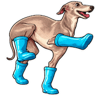 Fun Love Sticker by abana a cauda