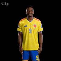 Fifa World Cup Colombia GIF by Respective