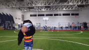 claude the crow GIF by Adelaide Crows