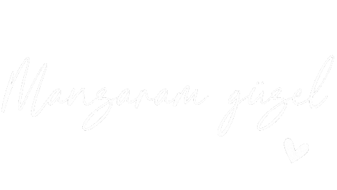 Travel Holiday Sticker