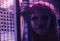 Dog Show GIF by Jazmin Bean