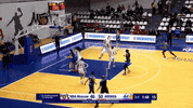 Womens Basketball GIF by Basketfem