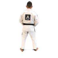 Grappling Martial Arts Sticker by Academy Jiu-Jitsu