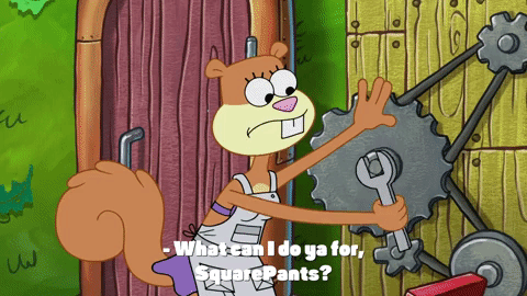 season 9 episode 24 GIF by SpongeBob SquarePants