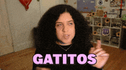 Cat GIF