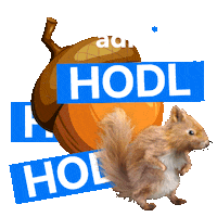 Crypto Bitcoin Sticker by Admirals