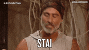 raz degan shut up GIF by Isola dei Famosi