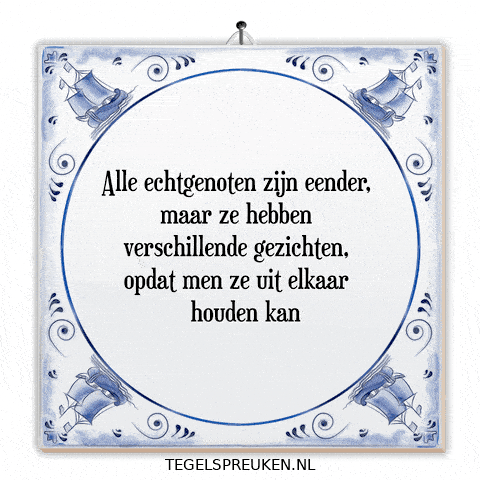 Humor Nl GIF by Tegelspreuken.nl