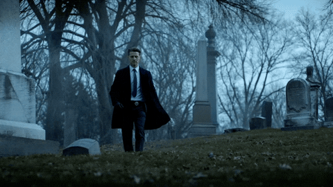 walk in like fox broadcasting GIF by Gotham