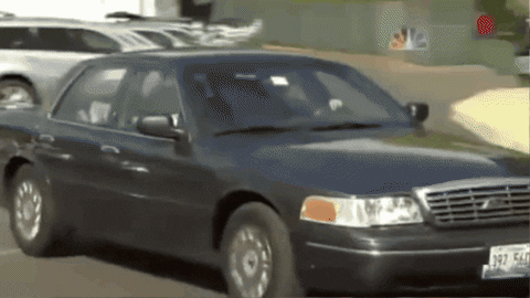 Co13man giphygifmaker GIF