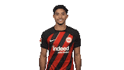 Eintracht Frankfurt Shake Sticker by Bundesliga