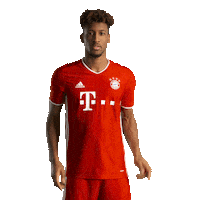 New Jersey King Sticker by FC Bayern Munich