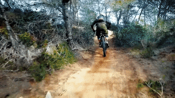 electric mountain bike bh bicycles GIF by Electric Cyclery