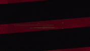 Western Sydney Wanderers Wsw GIF by wswanderersfc