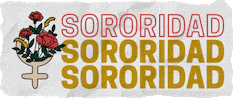 ardillatomica sororidad lasinvisibles GIF
