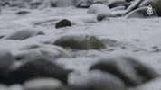 greatbigstory nature water rock calm GIF
