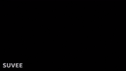 Brand New Day GIF