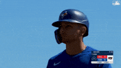 Blue Jays What GIF by Toronto Blue Jays