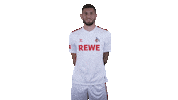 Fc Cologne Football Sticker by 1. FC Köln