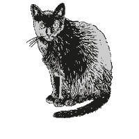 arboreacachaca gato arborea arboreacachaca Sticker