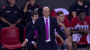 liga endesa basketball GIF by ACB