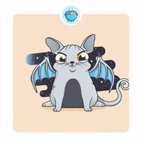 hairless cat GIF by CryptoKitties