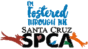 Santa Cruz Foster Sticker by HeARTs Speak