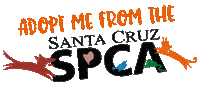 Adopt Santa Cruz Sticker by HeARTs Speak