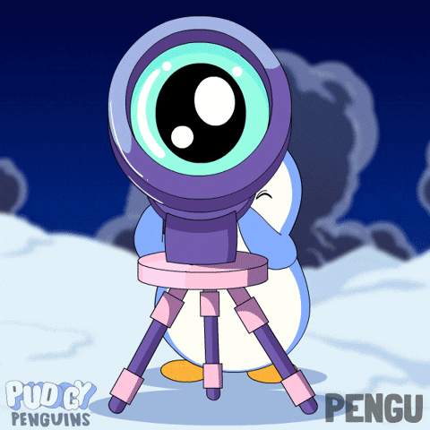 Crypto Penguin GIF by Pudgy Penguins
