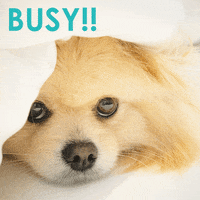 thorpompup mood monday thor doggy GIF