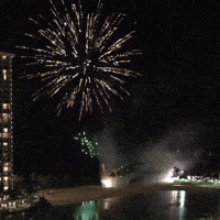 Fireworks Hawaii GIF by NZ Collab