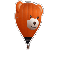 Luchtballon Sticker by Ballonfestival Hardenberg