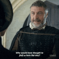 season 1 success GIF by The White Princess