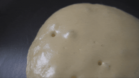 cannedspamantha giphygifmaker GIF