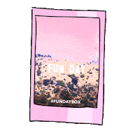 fun pink Sticker by Ivo Adventures