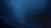 Fox Mulder GIF by The X-Files