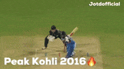 Virat Kohli GIF