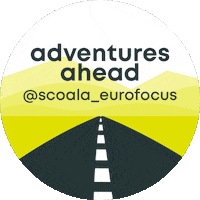 School Driving Sticker by Scoala de soferi Eurofocus