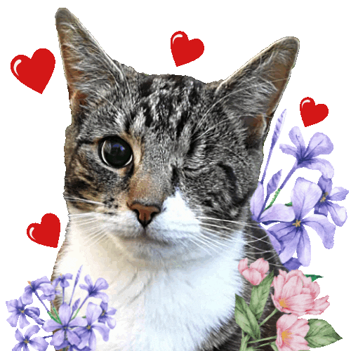 In Love Sticker