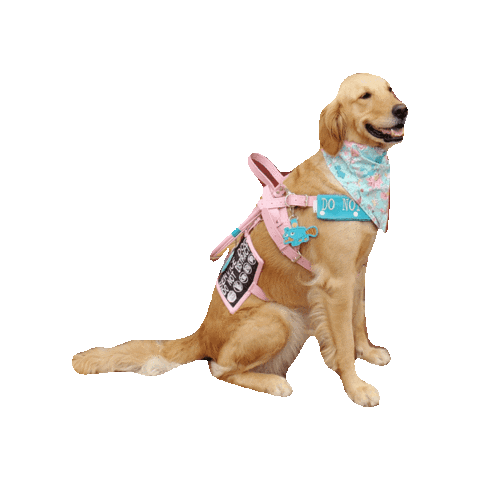 Golden Retriever Service Dog Sticker by Geekster Pets