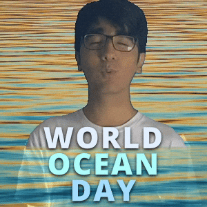 Ocean Sea GIF