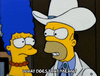 Season 3 Episode 20 GIF by The Simpsons