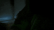 season 2 GIF by ScreamQueens