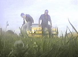Jack Antonoff GIF by Bleachers