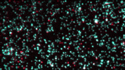 dna GIF by Harvard Medical School
