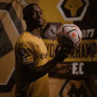 Premier League Football GIF by Wolves