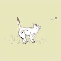 Cat Loop GIF by kaaataaa